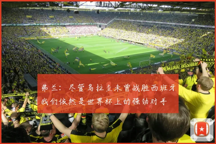 弗兰:尽管乌拉圭未曾战胜西班牙我们依然是世界杯上的强劲对手